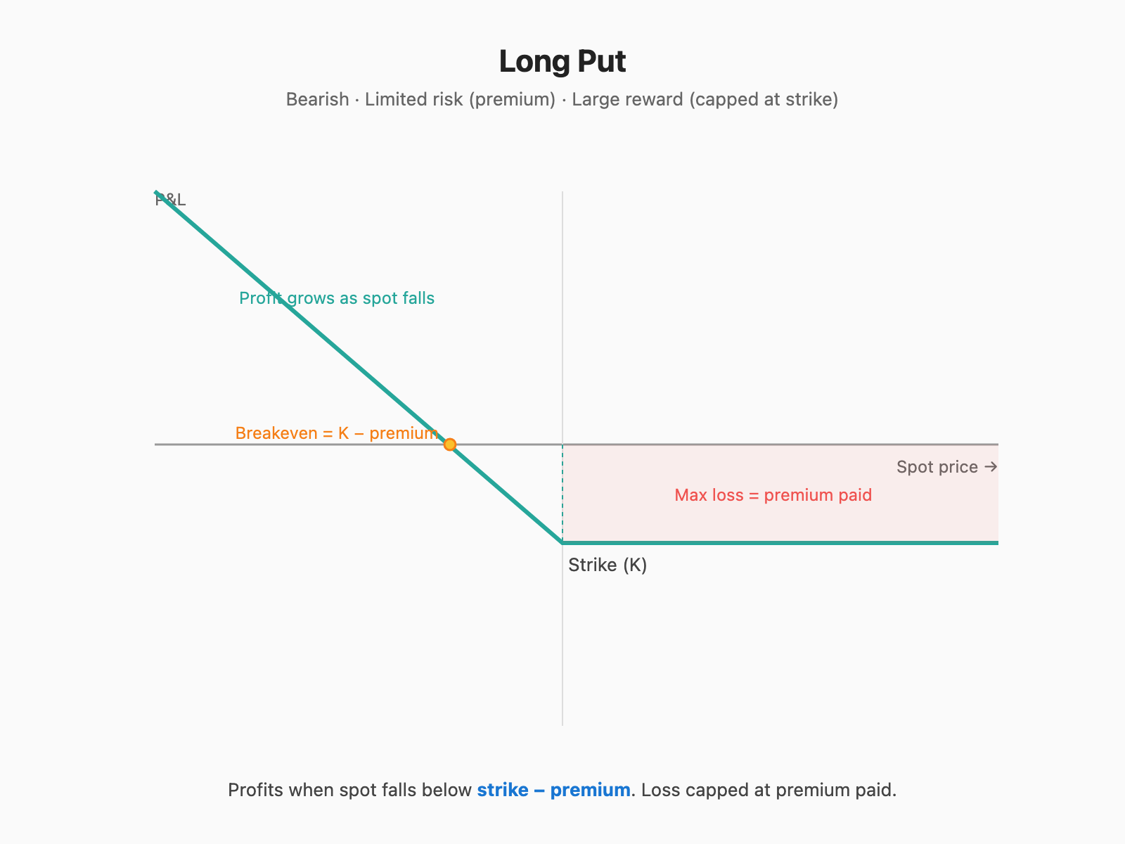 Long Put payoff: capped loss at premium, large profit as spot falls below strike − premium